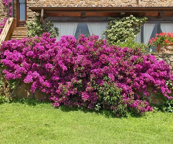 Casale Giacomini 3*